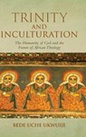 Trinity and Inculturation - Bede Uche Ukwuije - 9780268211141