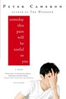 Someday This Pain Will Be Useful to You - Peter Cameron - 9780312428167