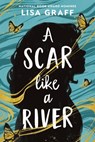 A Scar Like a River - Lisa Graff - 9780316570800