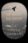In the Light of What We Know - RAHMAN,  Zia Haider - 9780374175627