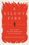 A SILENT FIRE 8211 THE STORY OF INFL - Shilpa Ravella - 9780393541908