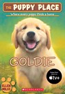 Goldie (the Puppy Place #1): Volume 1 - Ellen Miles - 9780439793797