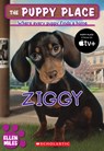 Ziggy (the Puppy Place #21): Volume 21 - Ellen Miles - 9780545253956