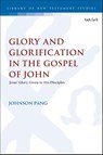 Glory and Glorification in the Gospel of John - Dr. Johnson (Community Christian Alliance Church Pang - 9780567727121