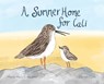 A Summer Home for Cali - HUSS GALLAGHER,  Marie - 9780578831602