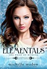 Elementals 3 - Michelle Madow - 9780578988580