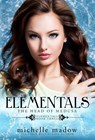 Elementals 3 - Michelle Madow - 9780578988580