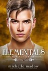 Elementals 4 - Michelle Madow - 9780578988597