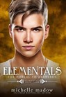 Elementals 4 - Michelle Madow - 9780578988597