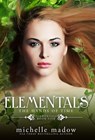 Elementals 5 - Michelle Madow - 9780578988603