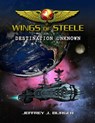 Wings of Steele - Destination Unknown (Book 1) - Jeffrey Burger - 9780615692883