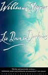 Lie Down in Darkness - William Styron - 9780679735977