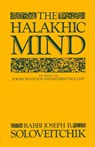 Halakhic Mind - Rabbi Joseph B. Soloveitchik - 9780684863726