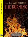 The Burning - E.C. Ambrose - 9780698144743
