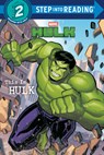 This Is Hulk (Marvel) - Marvel Press Book Group - 9780736491143