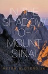 In The Shadow of Mount Sinai - Peter (Karlsruhe School of Design) Sloterdijk - 9780745699240