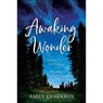 Awaking Wonder – Opening Your Child`s Heart to the Beauty of Learning - Sally Clarkson - 9780764235887