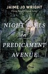 Night Falls on Predicament Avenue - Jaime Jo Wright - 9780764241451
