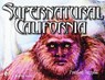 Supernatural California - Preston Dennett - 9780764324017