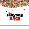 The Ladybug Race - NIELANDER,  Amy - 9780764971877