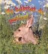 Un Habitat De Pastizal/ A Grassland Habitat - MACAULAY,  Kelley ; Kalman, Bobbie - 9780778783589