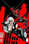 Spider-man / Black Cat - SMITH,  Kevin - 9780785110798
