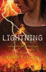 Lightning A Novel - B Calhoun - 9780800723774