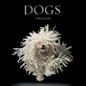 Dogs - Lewis Blackwell - 9780810996533