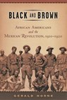 Black and Brown - Gerald Horne - 9780814736739