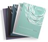 The Chosen Interactive Bible Studies Bundle Seasons 1–5 - Amanda Jenkins ; Dallas Jenkins - 9780830793037