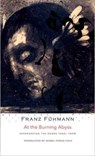At the Burning Abyss - Franz Fuhmann - 9780857424327