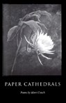 Paper Cathedrals - The Kent State University Press - 9780873387163