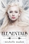 Elementals: The Prophecy of Shadows - Michelle Madow - 9780997239492