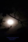 The Way, the Truth and The Life Story. - Susanna C. Mahoney - 9781005477035