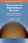 The Practice of Multi-Method Research - J. (Northwestern University Seawright ; Kendra L. (University of New Mexico) Koivu - 9781009849609