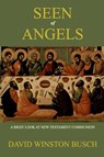 Seen of Angels - David Winston Busch - 9781034228837