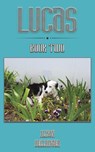 Lucas - Alison Bellringer - 9781035873722
