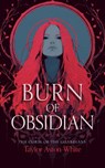 Burn of Obsidian - Taylor Aston White - 9781036713126