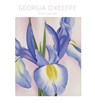 Georgia O'Keeffe 2024 Wall Calendar - Georgia O'Keeffe - 9781087507705