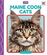 Maine Coon Cats - Elizabeth Andrews - 9781098243111