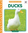Ducks - Elizabeth Andrews - 9781098248543