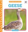 Geese - Elizabeth Andrews - 9781098248550