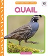 Quail - Elizabeth Andrews - 9781098248574