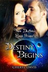Destiny Begins - Cheryl Davis - 9781304838018