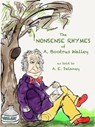 The Nonsense Rhymes of A. Bootrus Walley - Anthony Delaney - 9781311275615