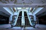 Flexible Survival - Mall - David Silver - 9781311299086