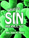 What Is Sin Really? - Juan M. Perez - 9781311721174