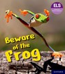 Essential Letters and Sounds: Essential Phonic Readers: Oxford Reading Level 6: Beware of the Frog - Isabel Thomas - 9781382055819