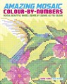 Amazing Mosaic Colour-by-Numbers - Georgie Fearns ; Diego Vaisberg - 9781398829022