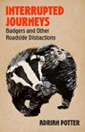 Interrupted Journeys - Adrian Potter - 9781399822404